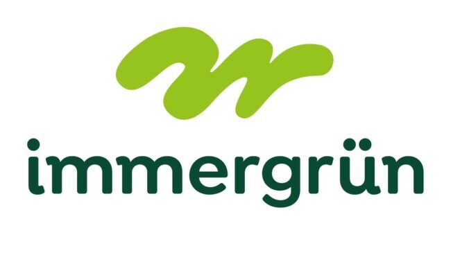Immergrün